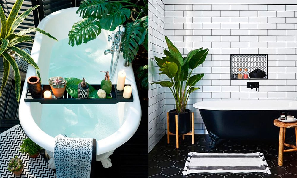 Decorar el baño con plantas Decorar el baño con plantas