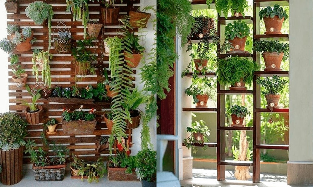 Decorar las paredes con plantas: Jardines verticales Decorar las paredes con plantas: Jardines verticales