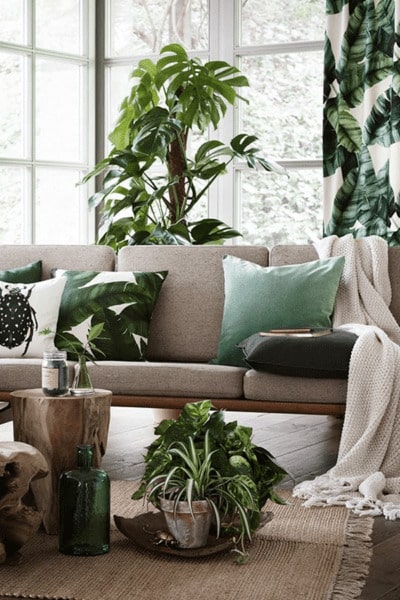 Combinar decoración con plantas Combinar decoración con plantas