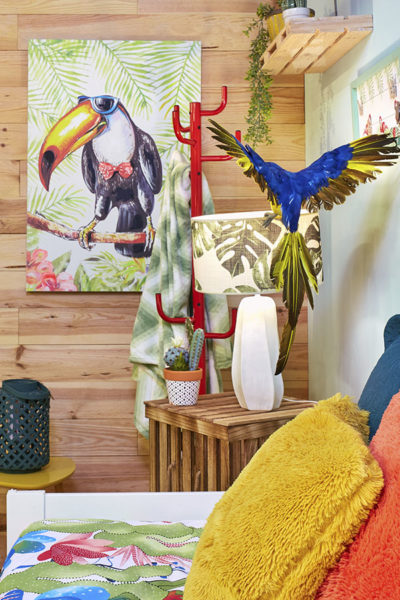 Figura GUACAMAYO y cuadro ANIMAL CRAZY