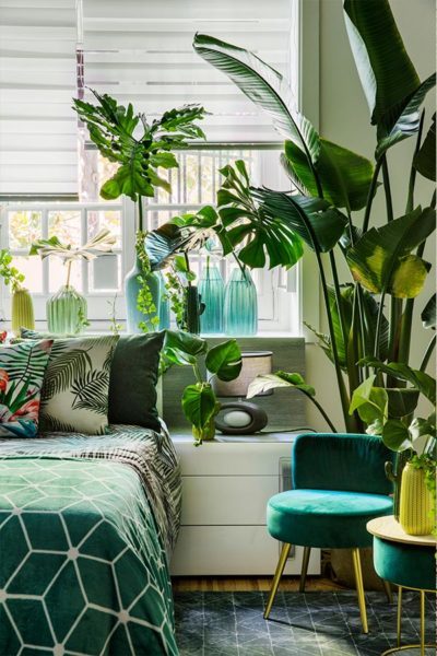 Las plantas y el taburete VELVET son una combinación ganadora verde vintage
