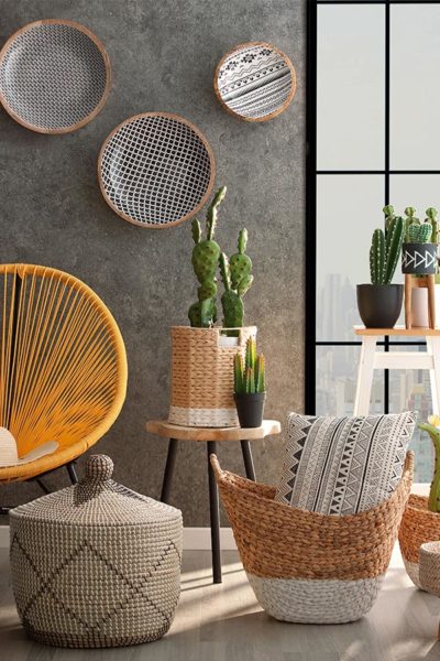 Los cactus son un elemento clave en la decoración de una fiesta mexicana temáticas para fiestas