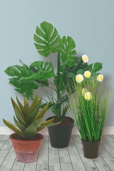 plantas para ventanas - Conforama plantas para ventanas