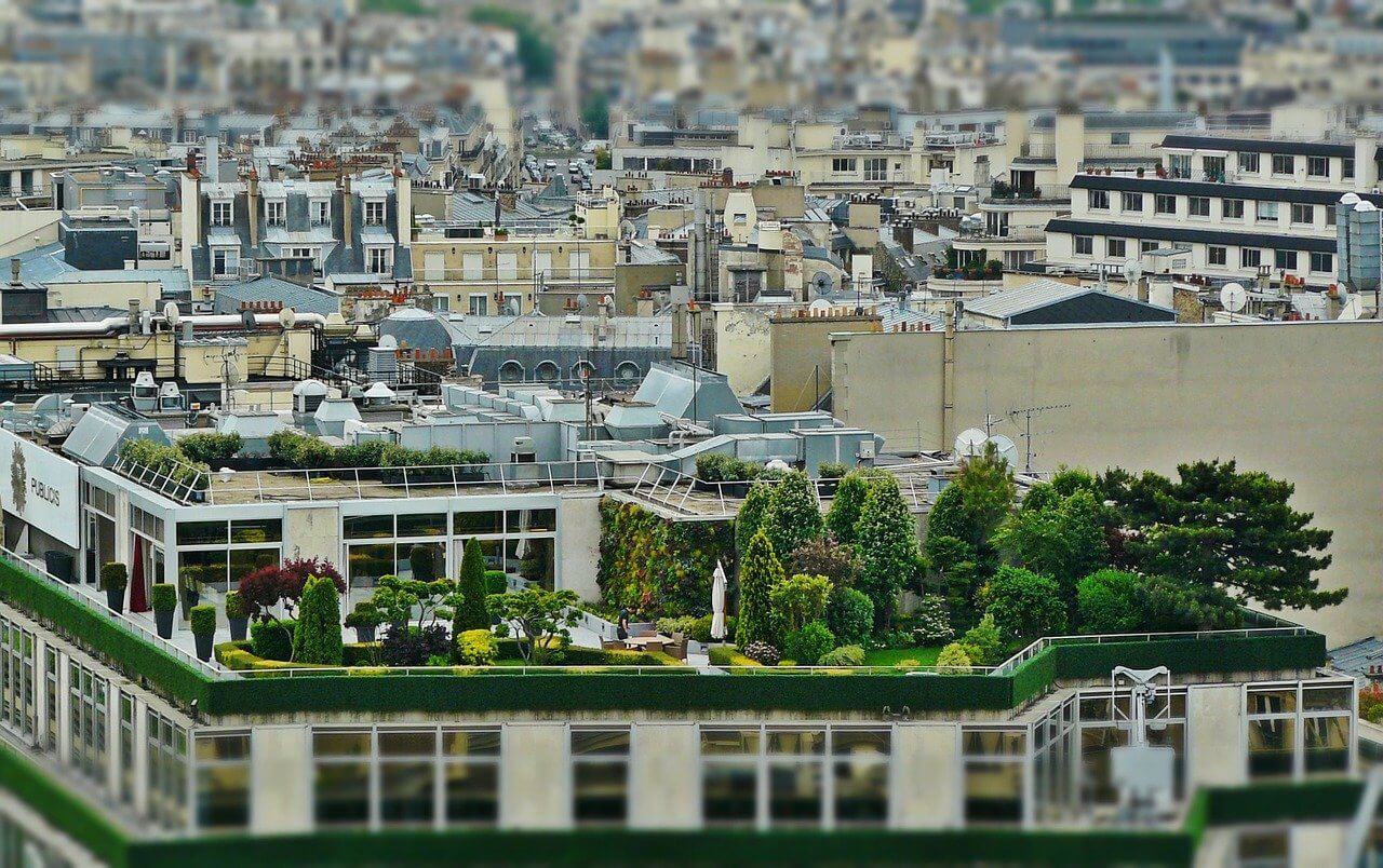terraza verde en azotea